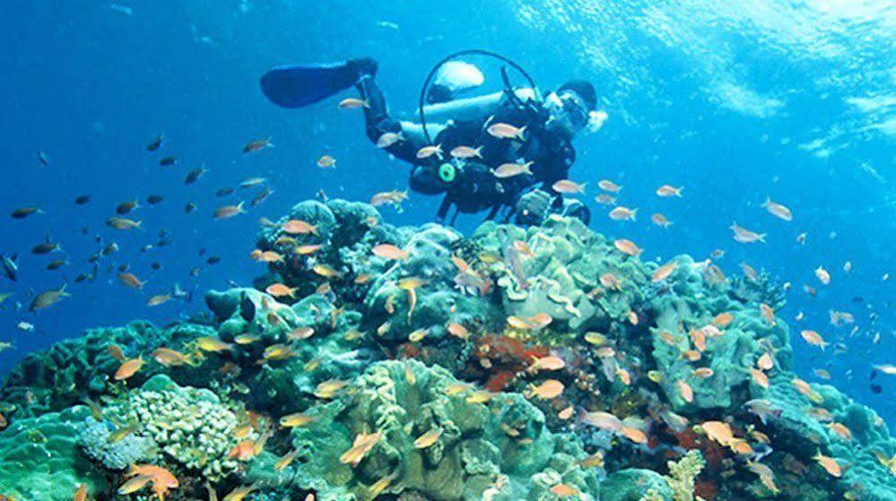 Bajo Komodo Eco Lodge Labuan Bajo Extérieur photo